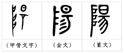 陽 象形文字|「陽」という漢字の意味・成り立ち・読み方・画数・部首を学習